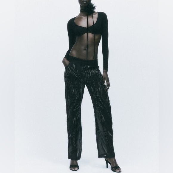 RARE ZARA BEADED PANTS LIMITED EDITION - Picture 2 of 4